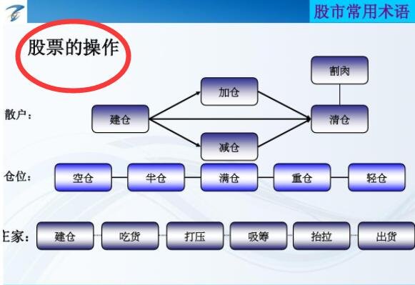 科技赋能股市，引领你进入炒股票的新世界！